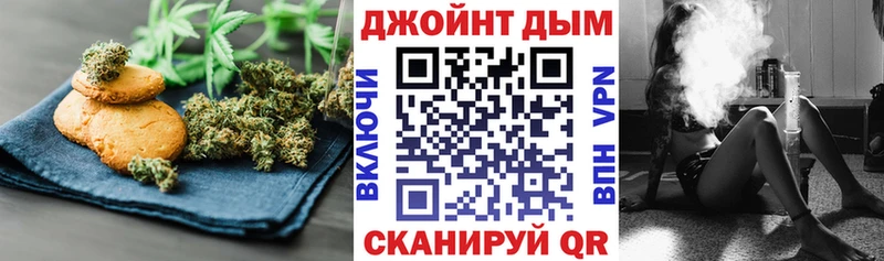 Canna-Cookies марихуана  Новоржев 