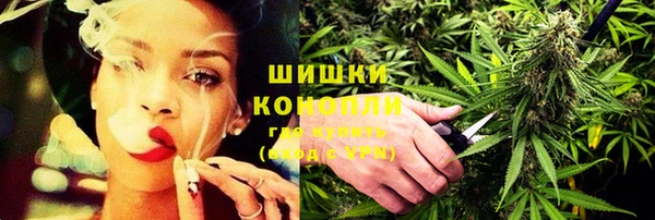 прущие грибы Белоозёрский