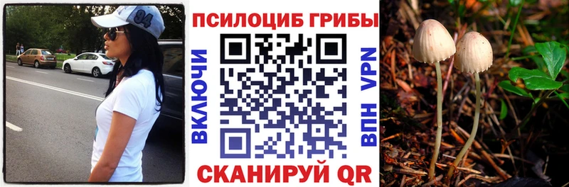 Псилоцибиновые грибы Magic Shrooms  Новоржев 